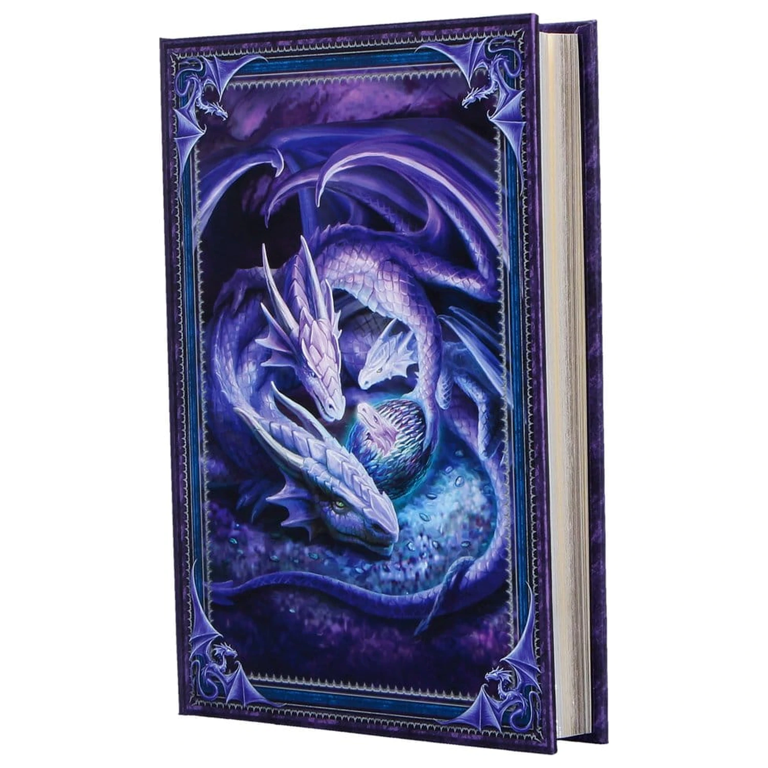 Anne Stokes Journal Welcome Hatchling A5  product photo
