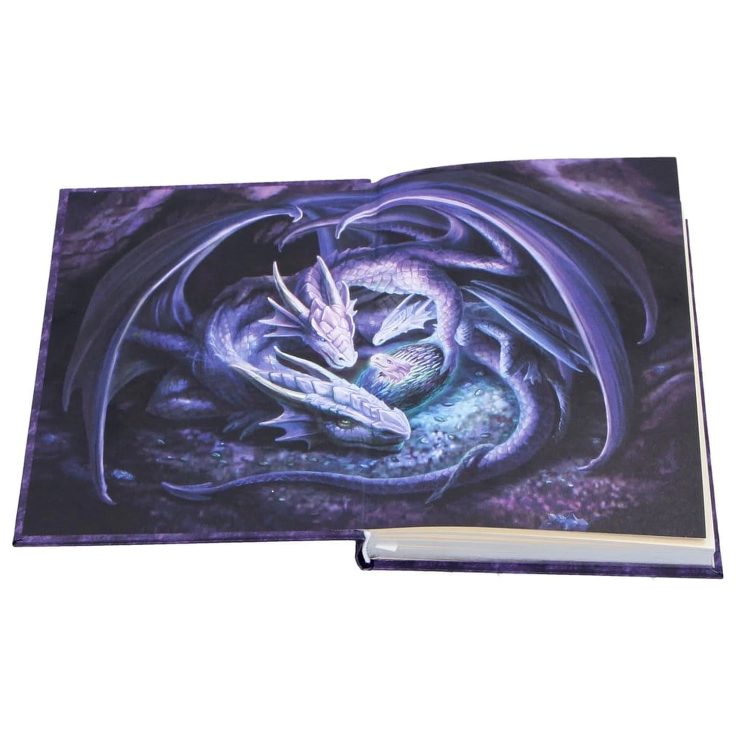 Anne Stokes Journal Welcome Hatchling A5  product photo