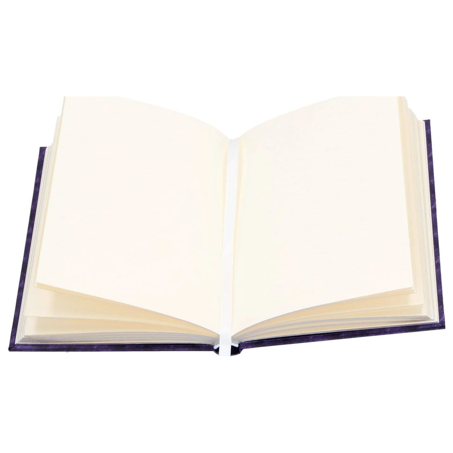 Anne Stokes Journal Welcome Hatchling A5  product photo