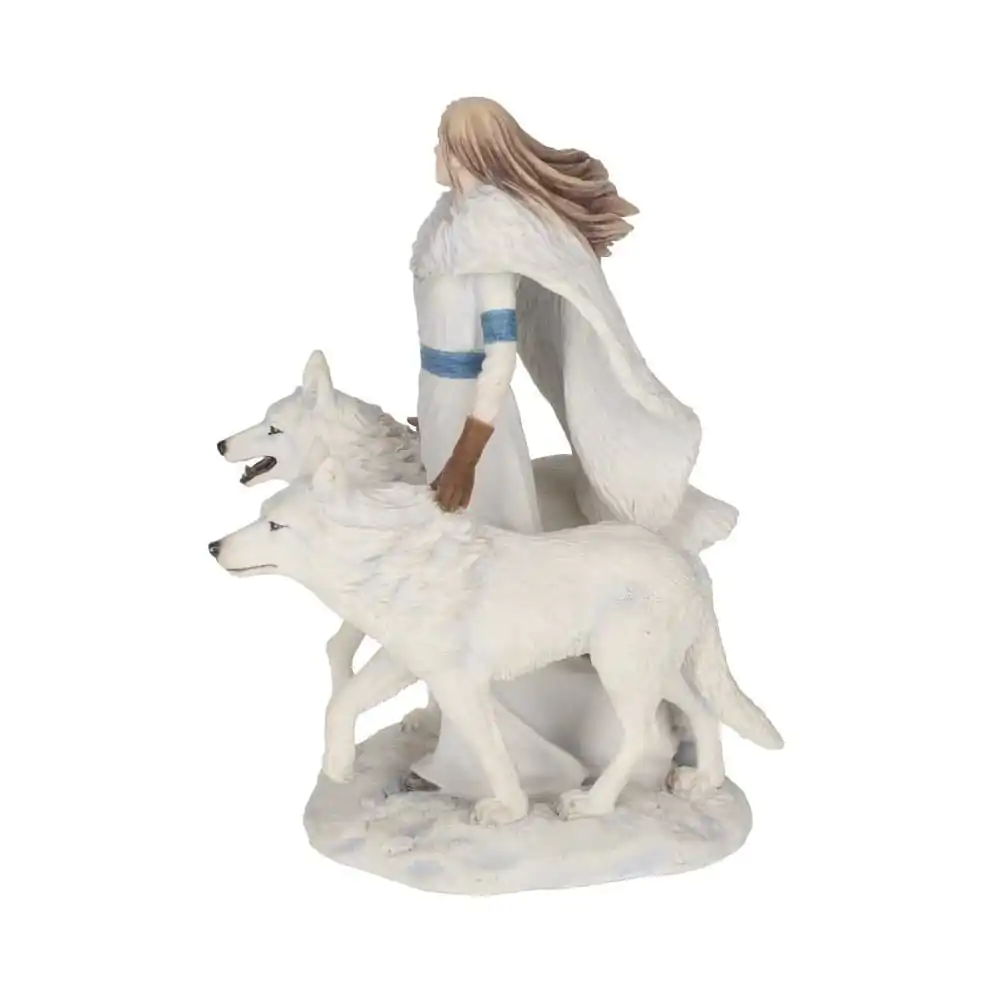 Anne Stokes Statue Winter Guardians 23 cm product photo