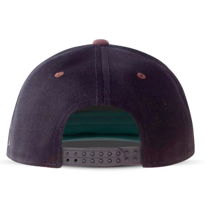 Assasins Creed Valhalla snapback product photo