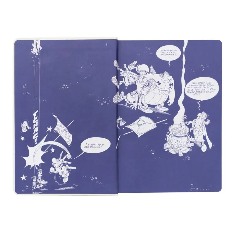 Asterix and Obelix - Asterix Magic Potion A5 premium notebook termékfotó