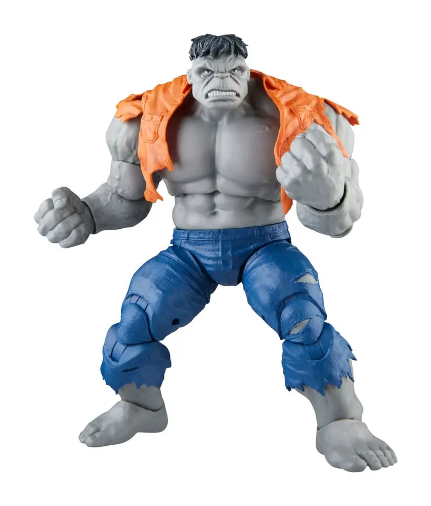 Avengers Marvel Legends Action Figures Gray Hulk & Dr. Bruce Banner 15 cm product photo