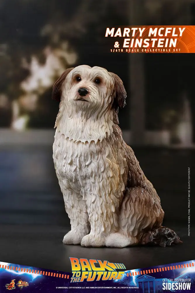 Back To The Future Movie Masterpiece Action Figures 1/6 Marty McFly &amp; Einstein Exclusive 28 cm product photo