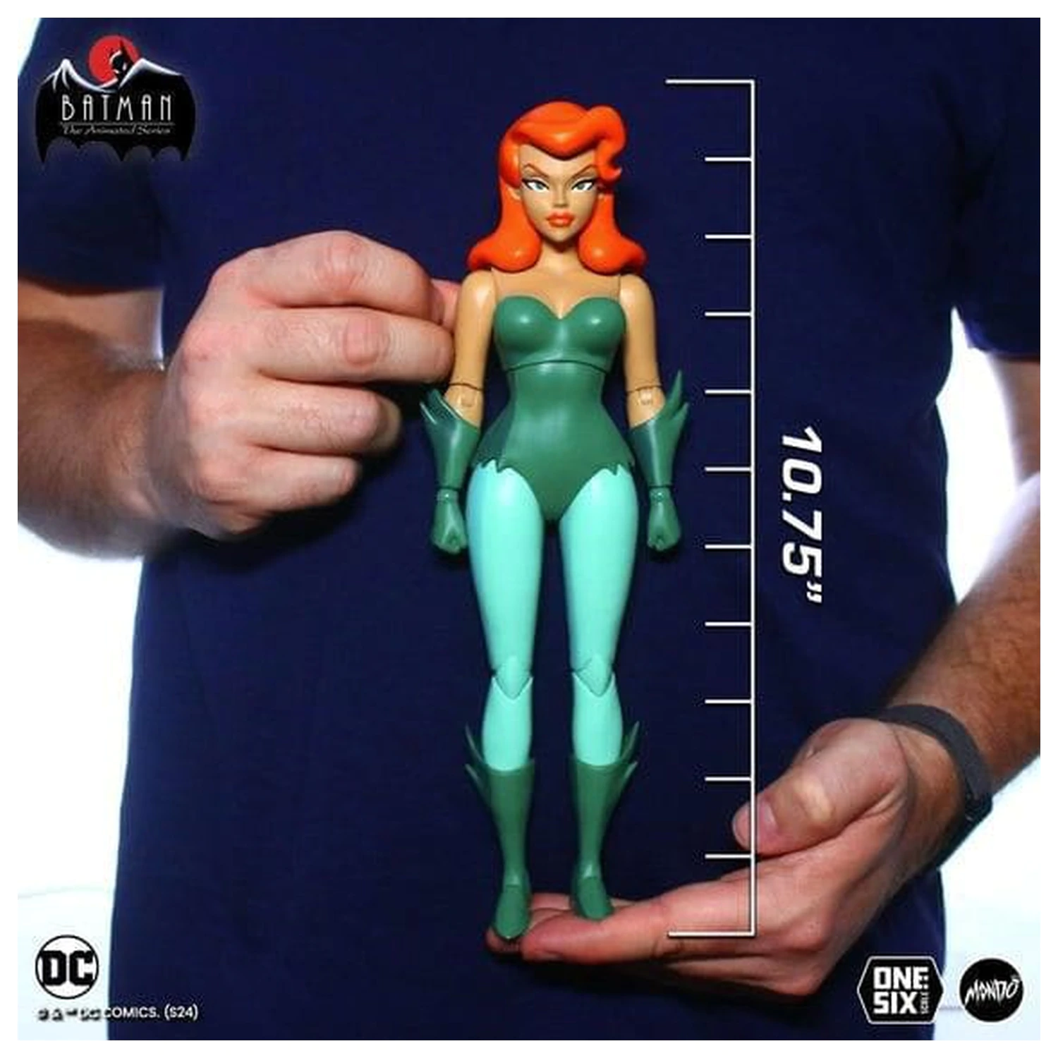 Batman Series Action Figure 1/6 Poison Ivy 27 cm product photo