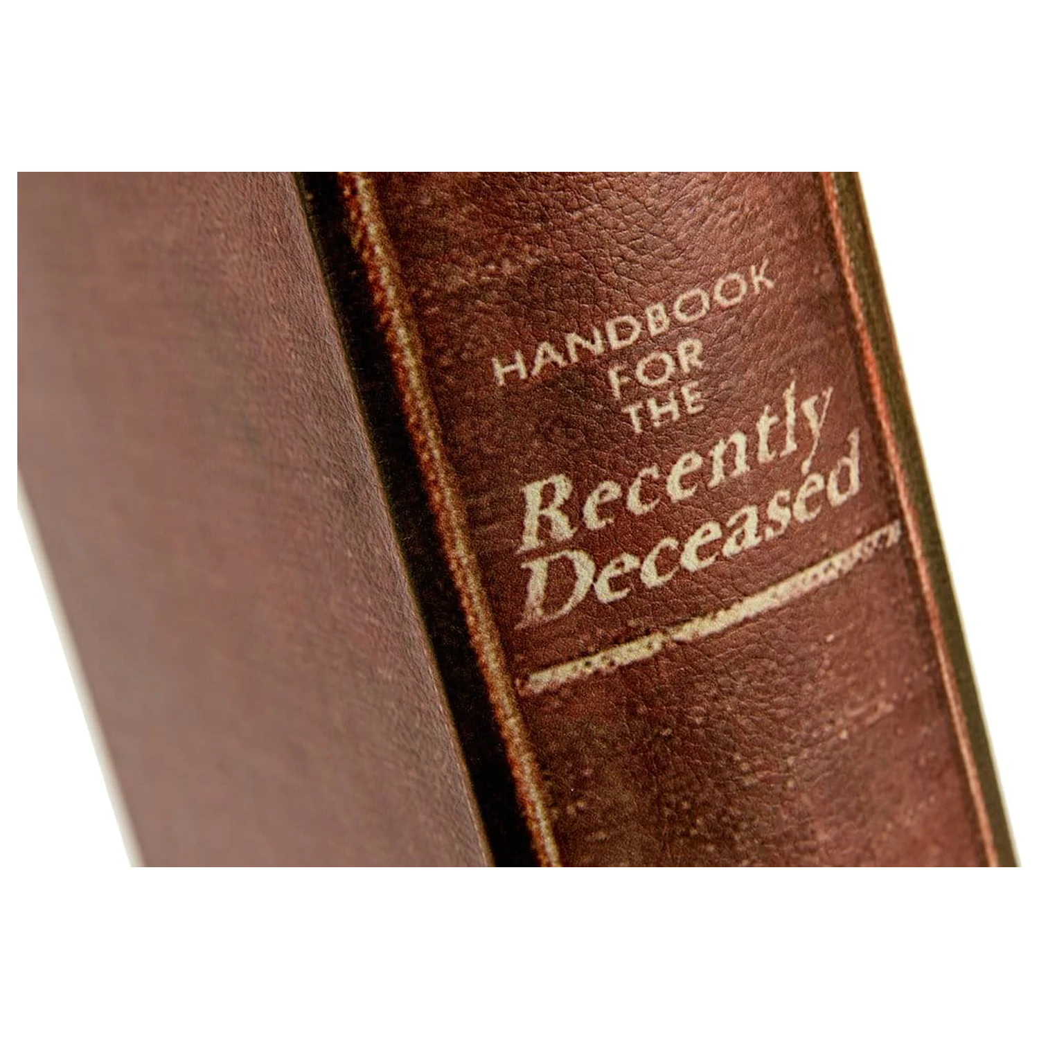 Beetlejuice Replica Box Handbook for the Recently Deceased storage box product photo