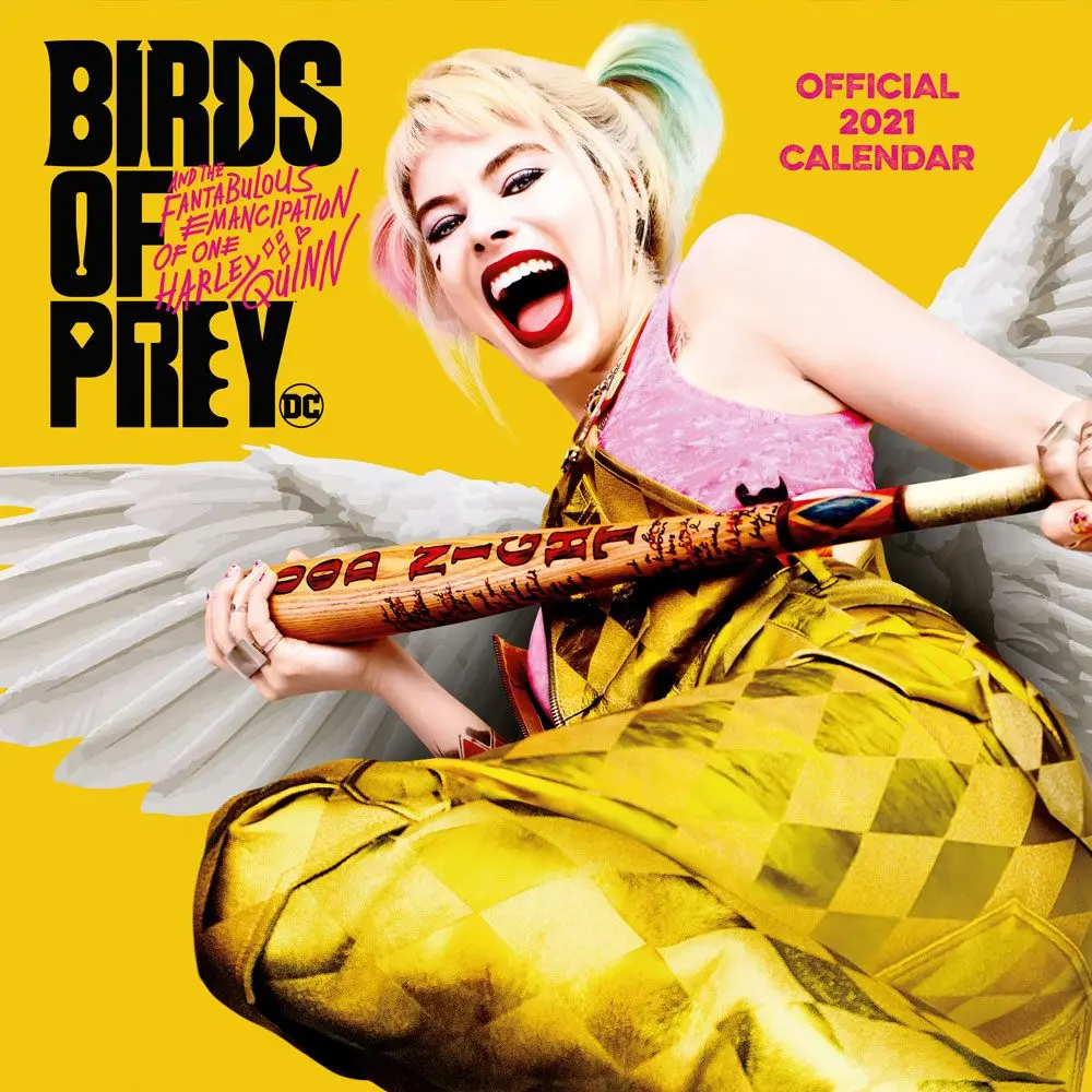 Birds of Prey Calendar 2021 *English Version* product photo