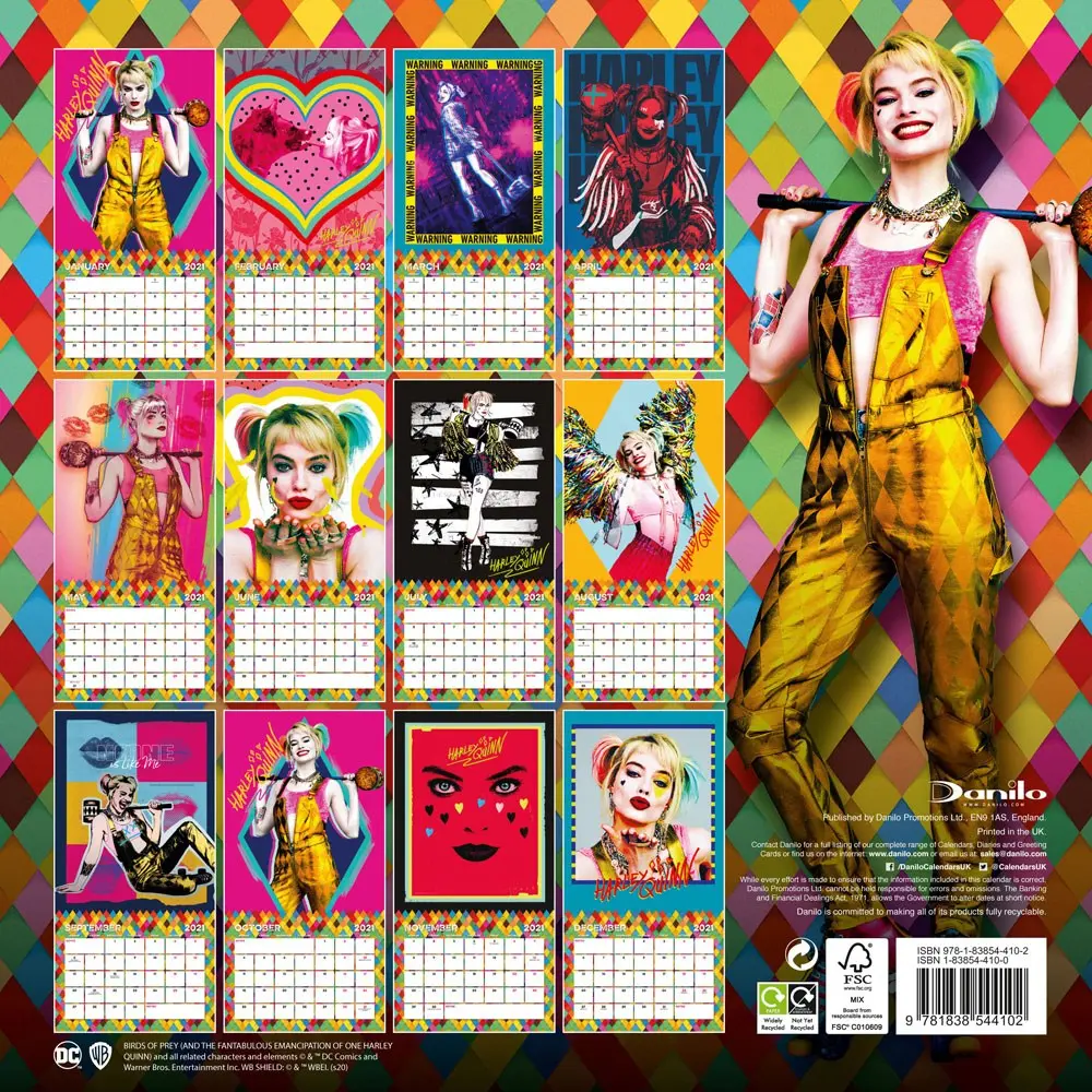 Birds of Prey Calendar 2021 *English Version* product photo