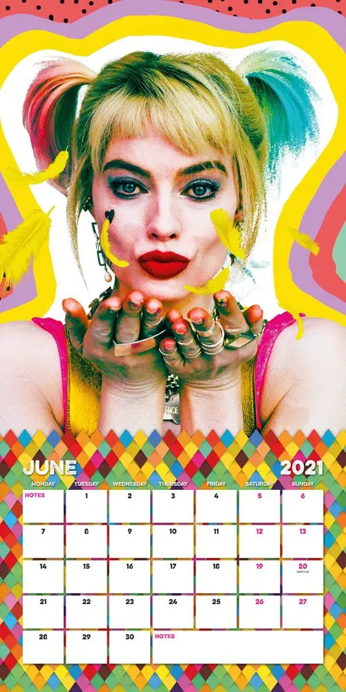 Birds of Prey Calendar 2021 *English Version* product photo