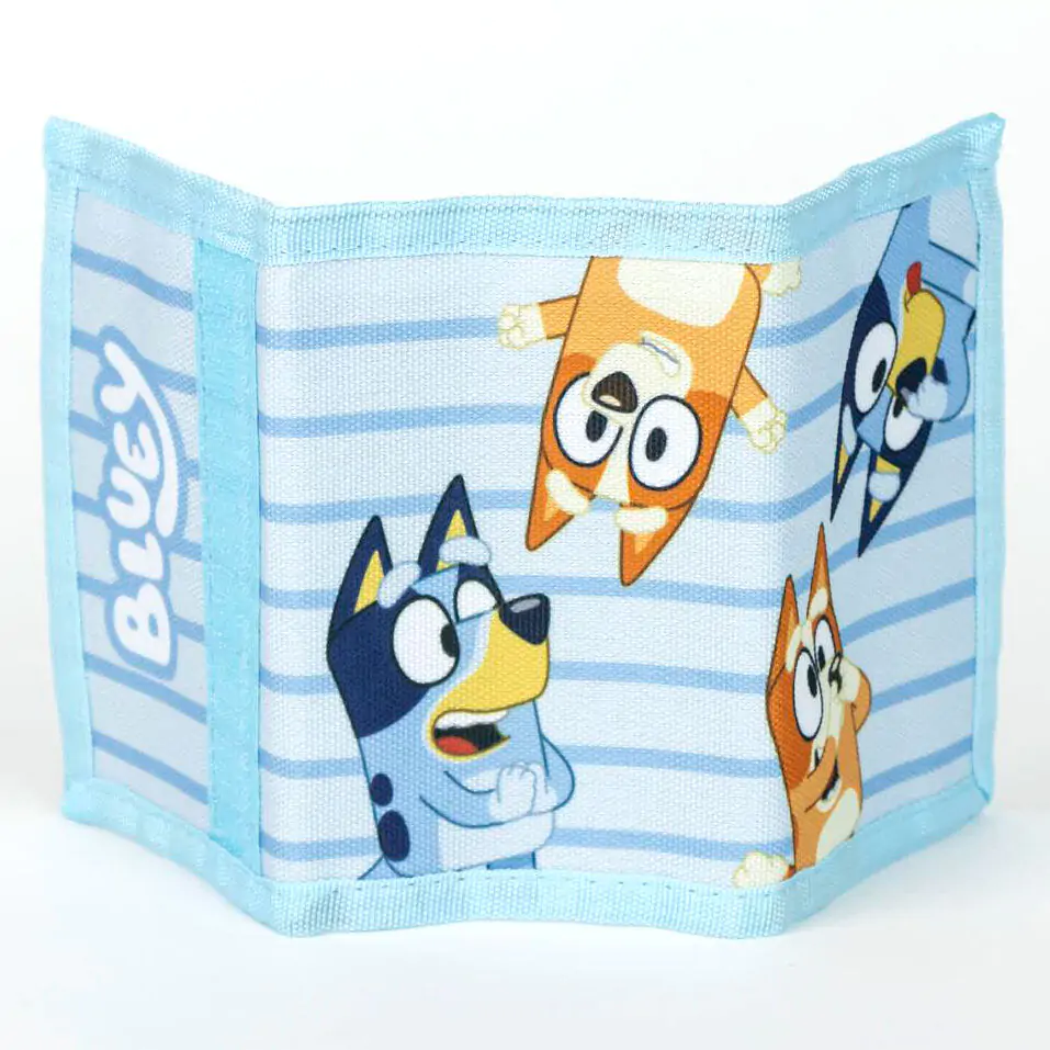 Bluey Set sunglasses and wallet product photo