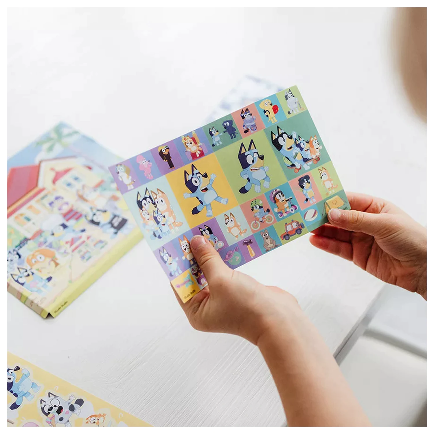 Bluey Home sticker set product photo