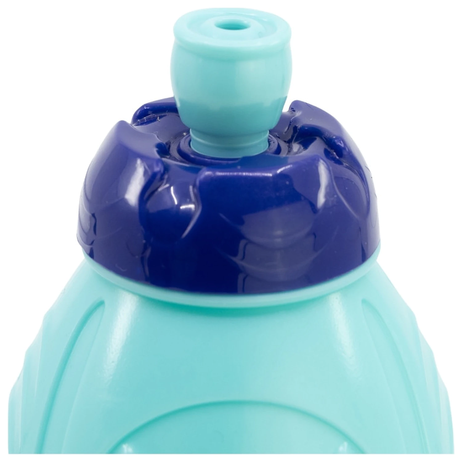 Bluey Leaves Plastic Sports Bottle 400 ml product photo