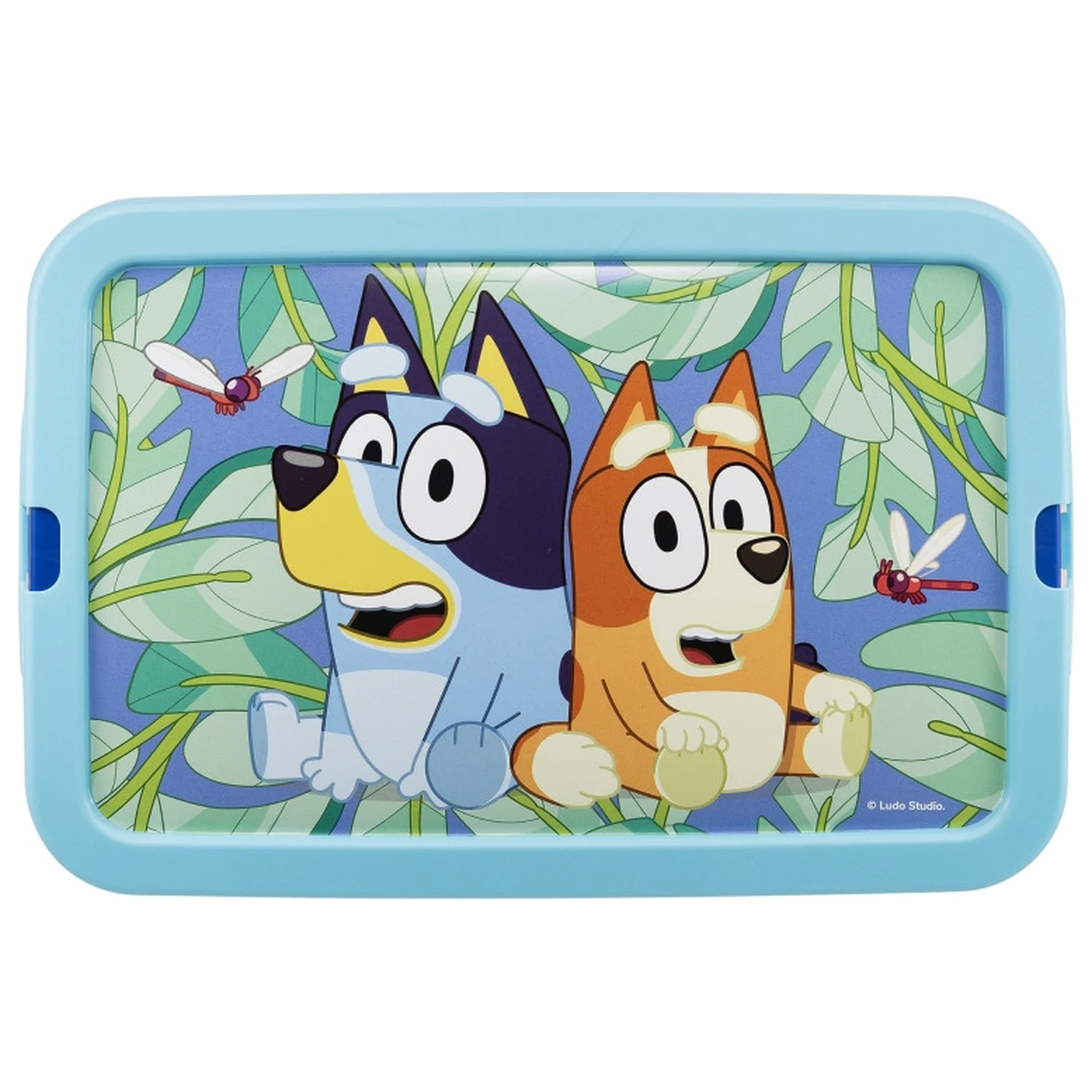 Bluey Leaves plastic storage box 7 L product photo