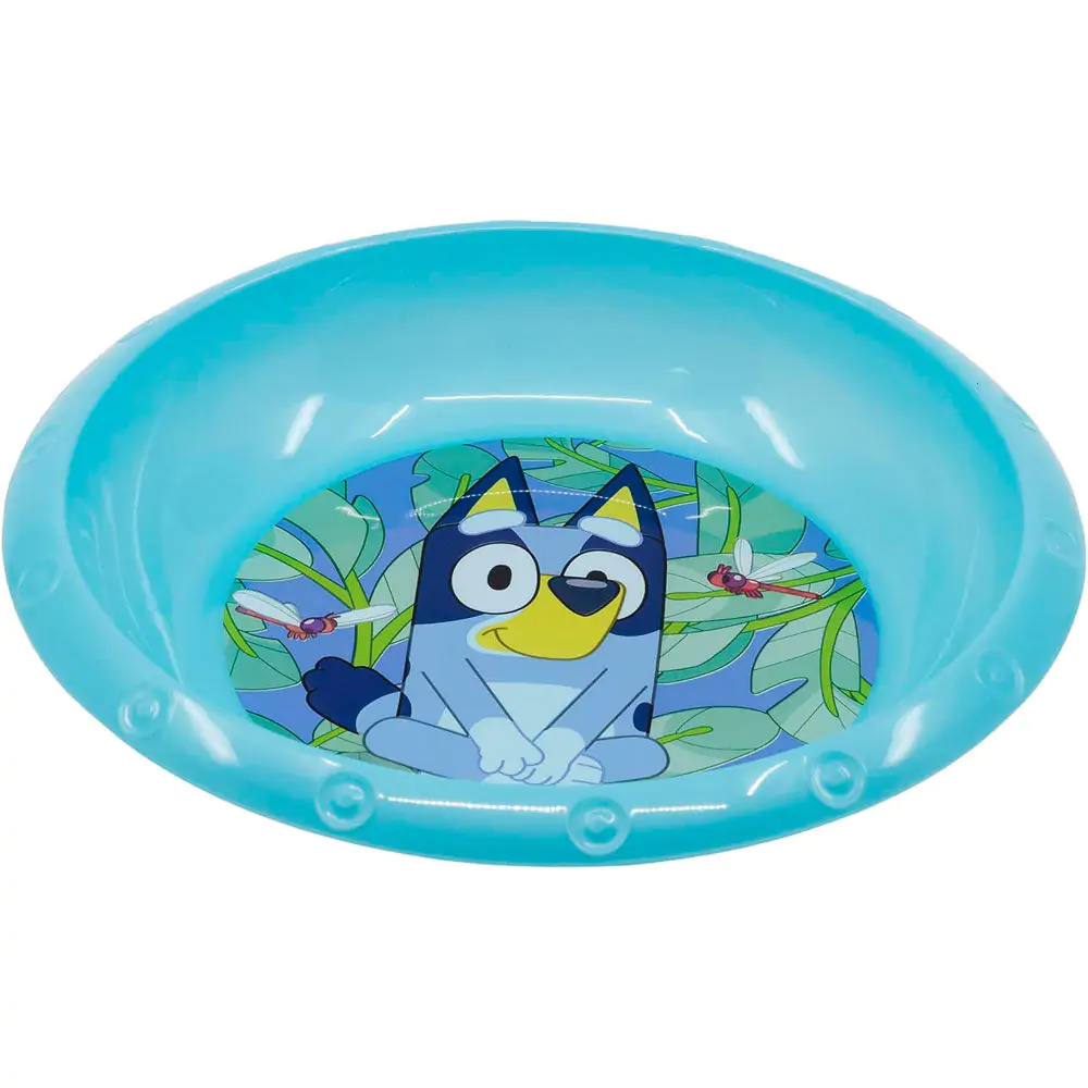 Bluey bowl product photo