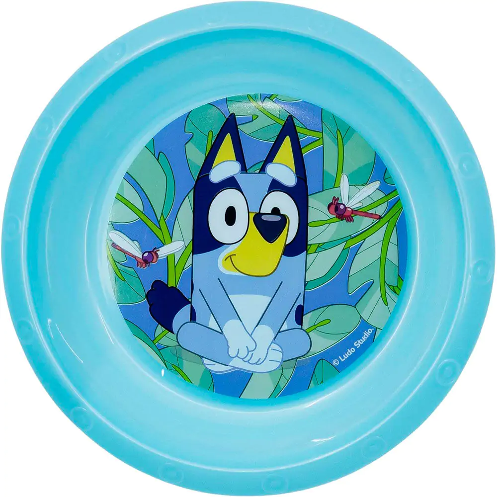 Bluey bowl product photo