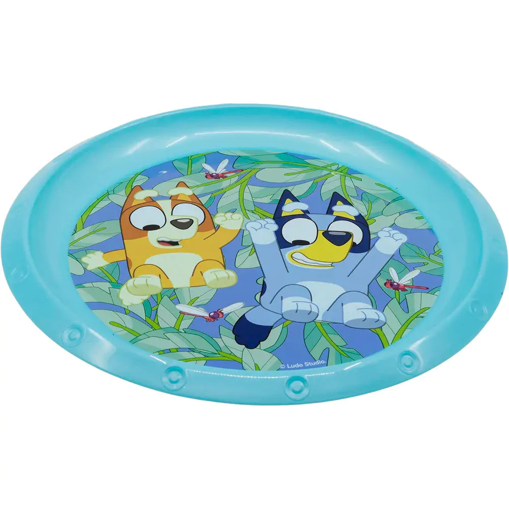 Bluey plate product photo