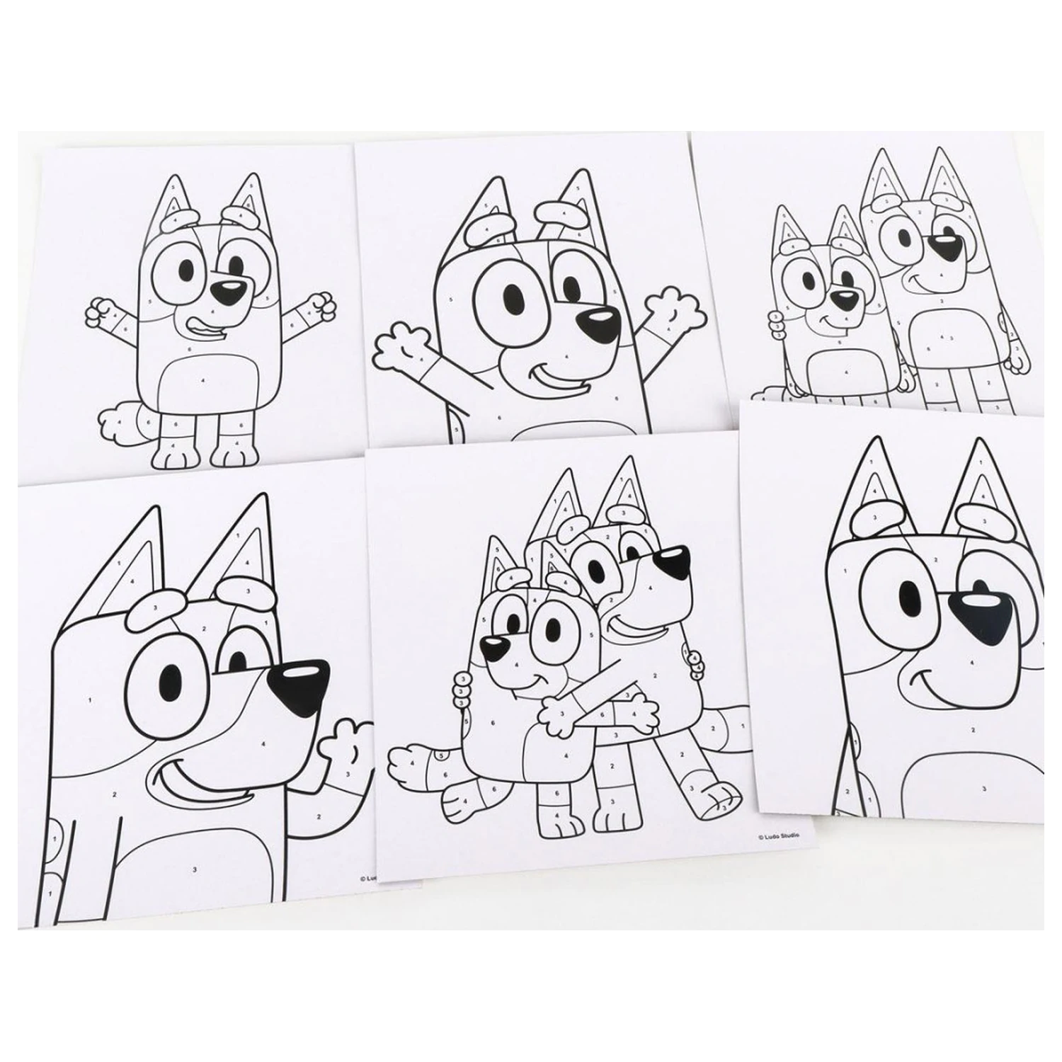 Bluey To Wave Coloring Set product photo