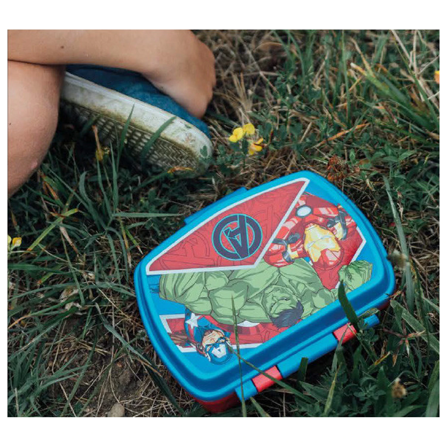 Avengers Army funny sandwich box product photo