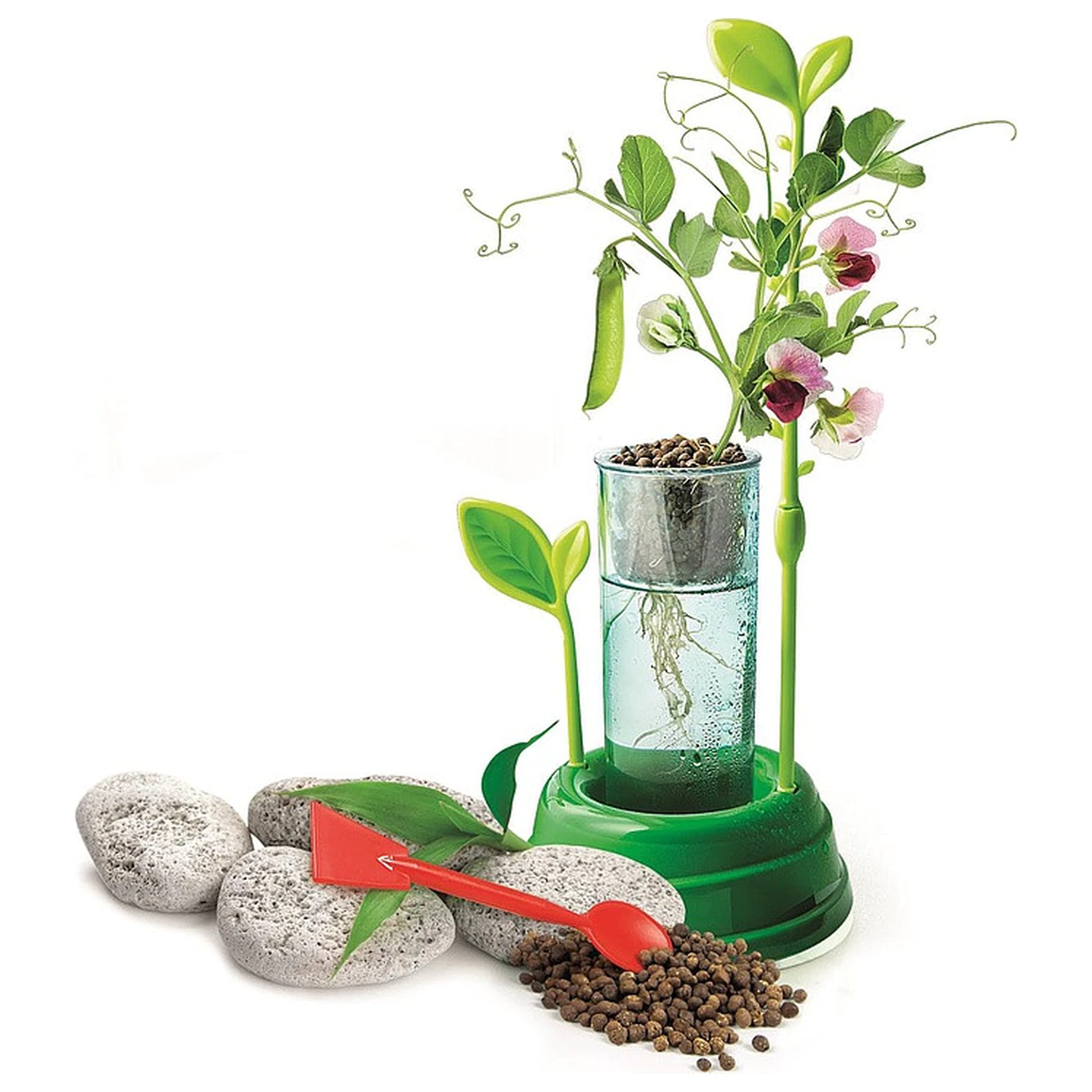 Botanical Lab Set Science product photo