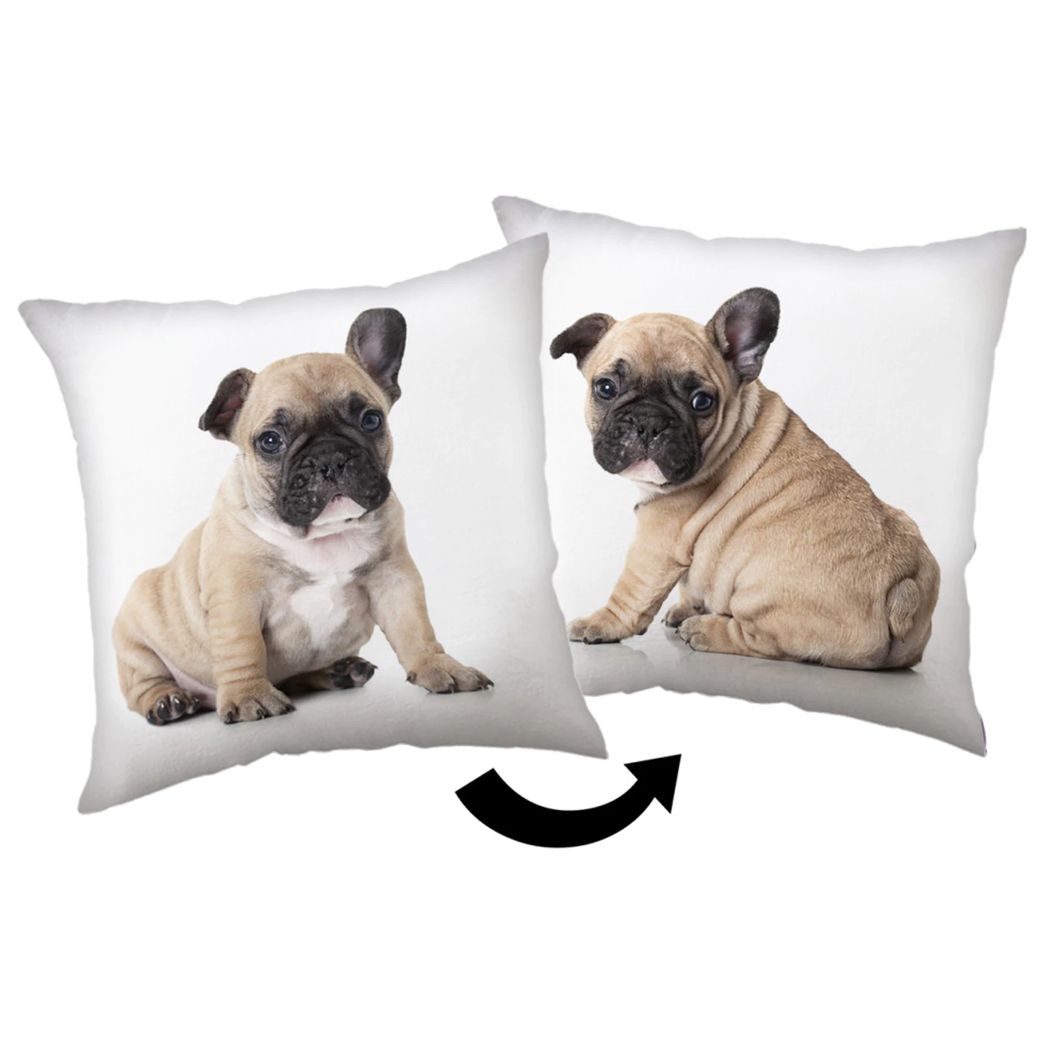 Bulldog cushion product photo
