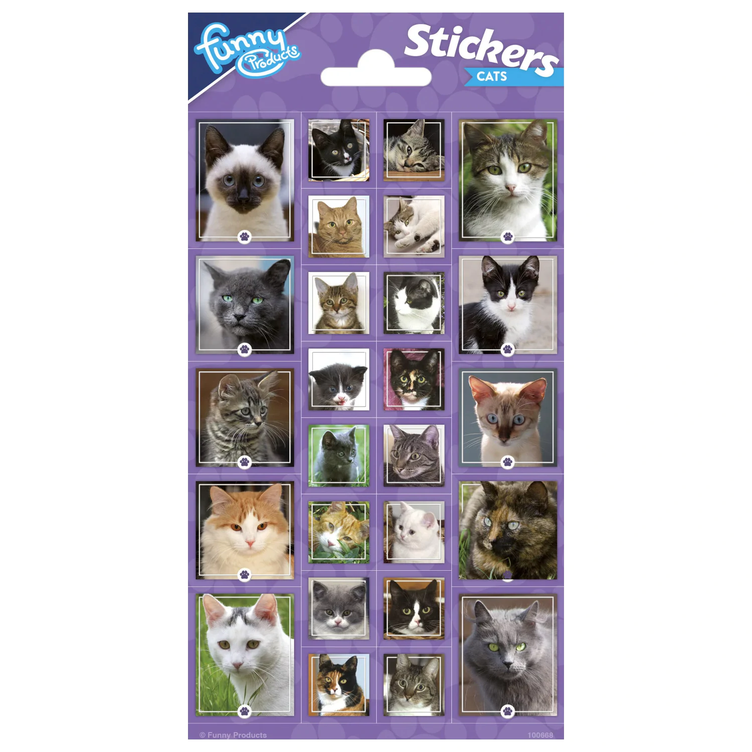 Cat Funny sticker product photo