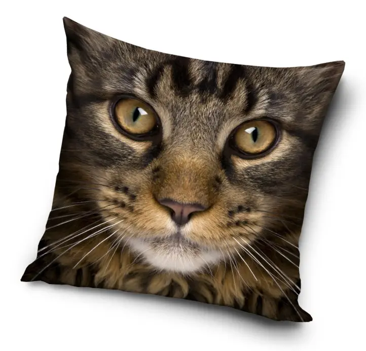 Cat Pattern Pillowcase 40x40 cm product photo