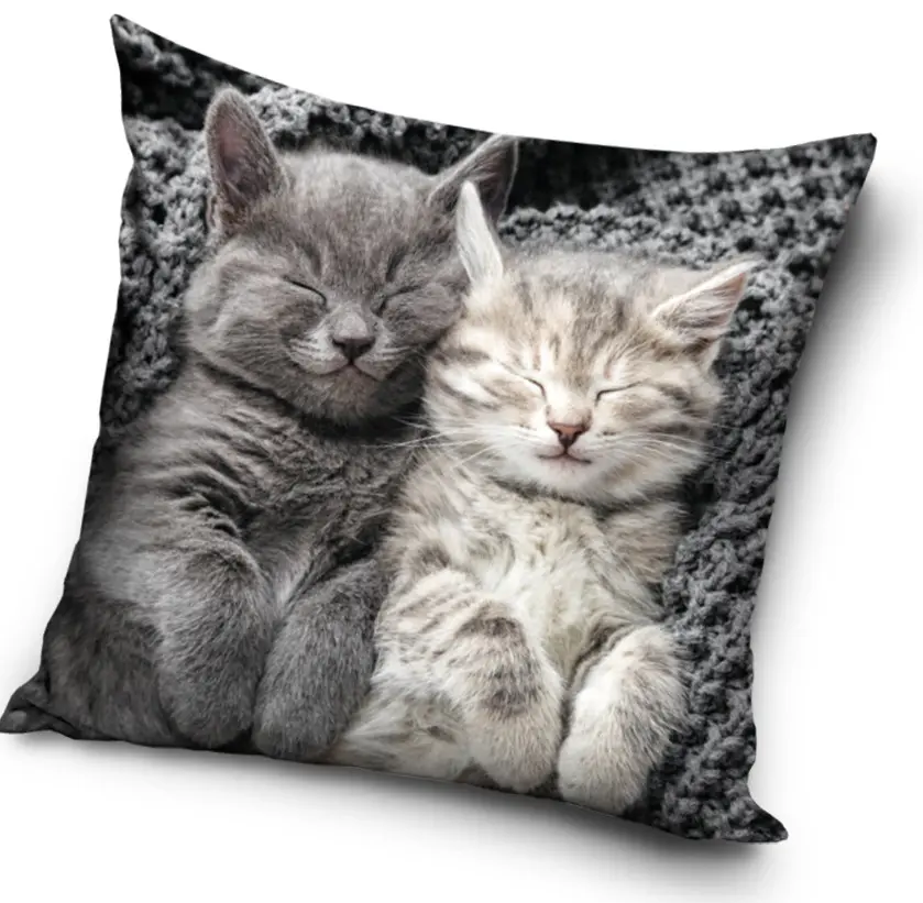 Cat Pillowcase 40*40 cm product photo