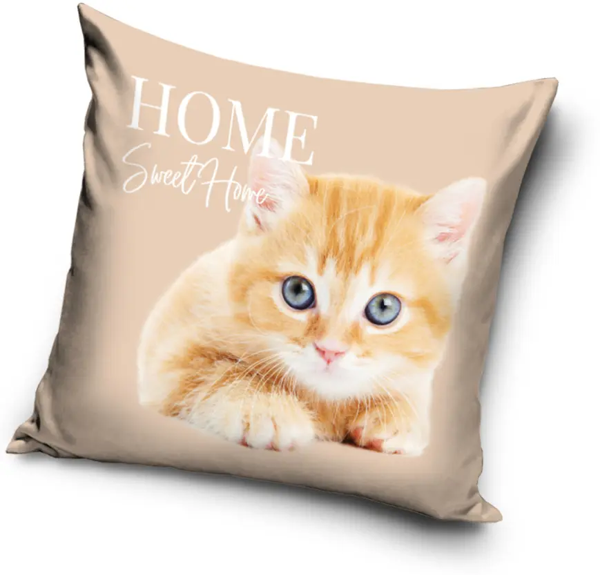 Cat Pillowcase 40*40 cm product photo