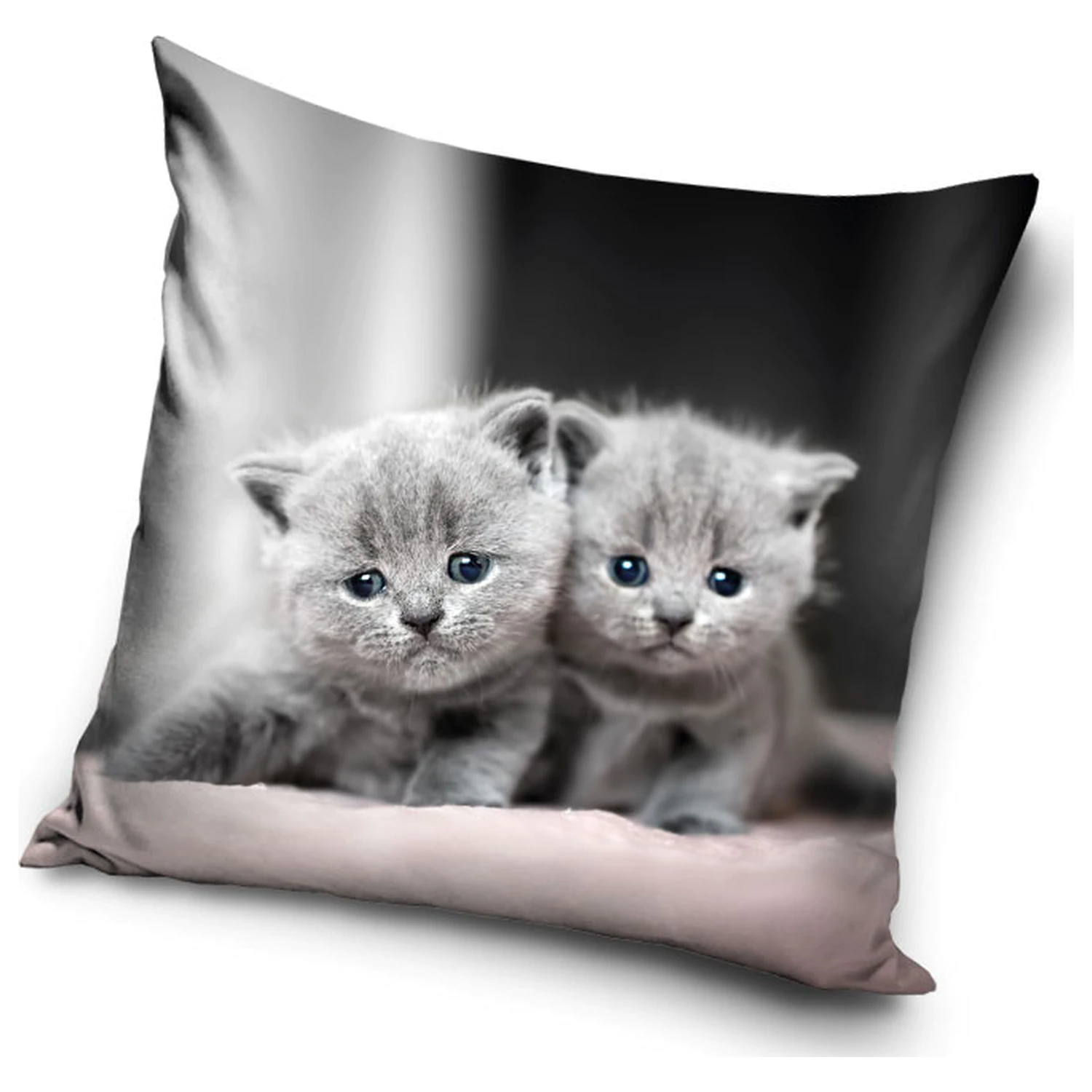 Kitty Twins Pillowcase product photo