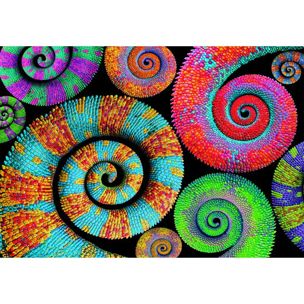 Color Boom Curly Tails puzzle 500pcs product photo