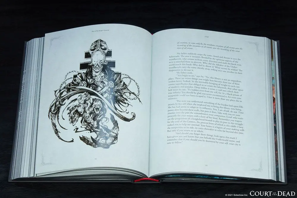 Court of the Dead Book Rise of the Reaper General product photo