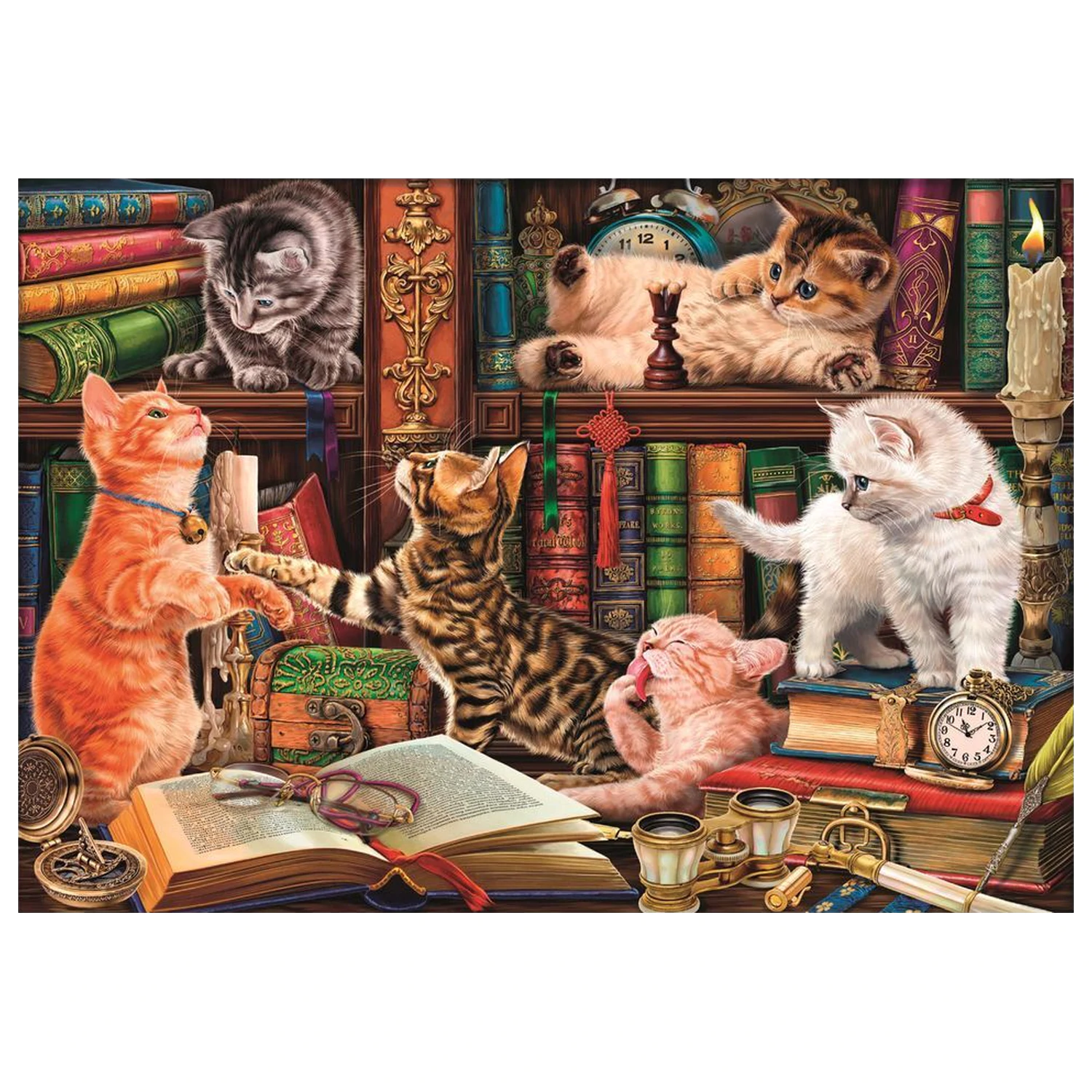 Curious Whiskers puzzle 1000pcs product photo