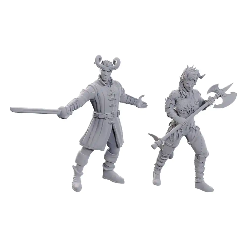 D&D Nolzur's Marvelous Miniatures Unpainted Miniature Wyll & Karlach product photo