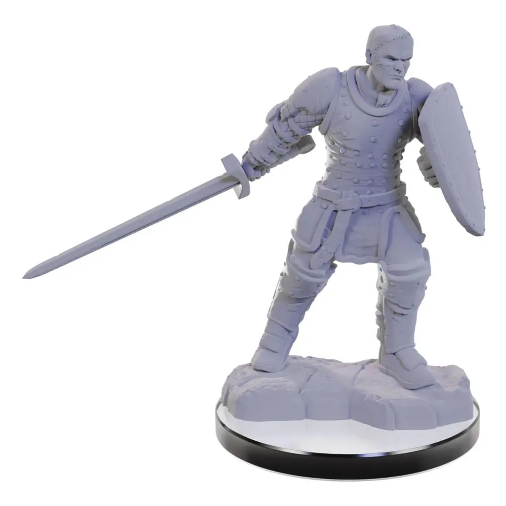 D&amp;D Nolzur's Marvelous Miniatures miniature Unpainted Reborn Paladin &amp; Warlock product photo