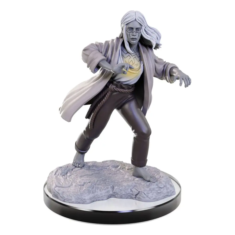 D&amp;D Nolzur's Marvelous Miniatures miniature Unpainted Reborn Paladin &amp; Warlock product photo