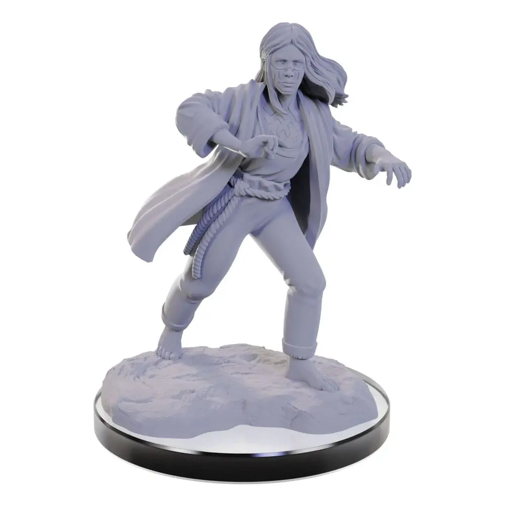 D&amp;D Nolzur's Marvelous Miniatures miniature Unpainted Reborn Paladin &amp; Warlock product photo