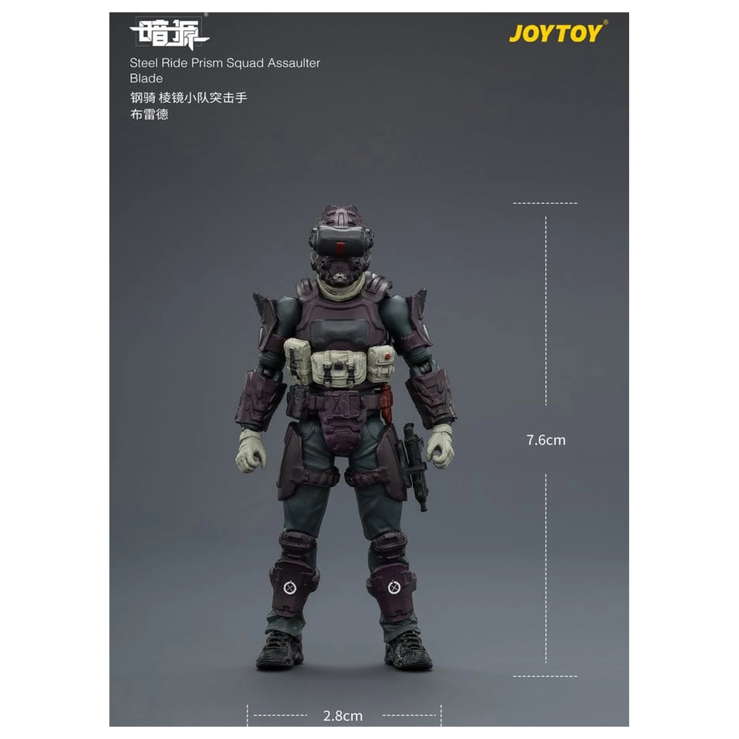 Dark Source Steel Ride Action Figure pack Prism Squad 8 cm product photo