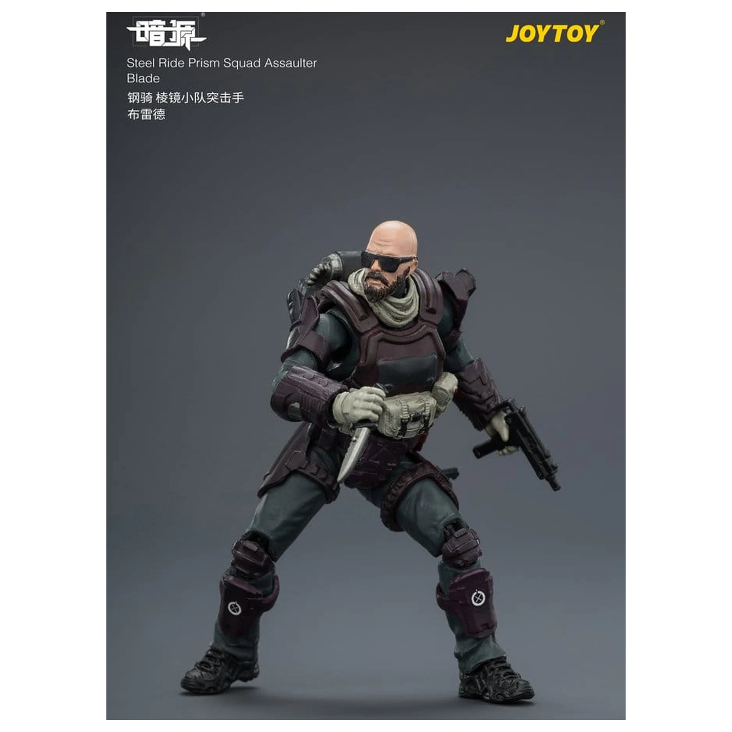 Dark Source Steel Ride Action Figure pack Prism Squad 8 cm product photo