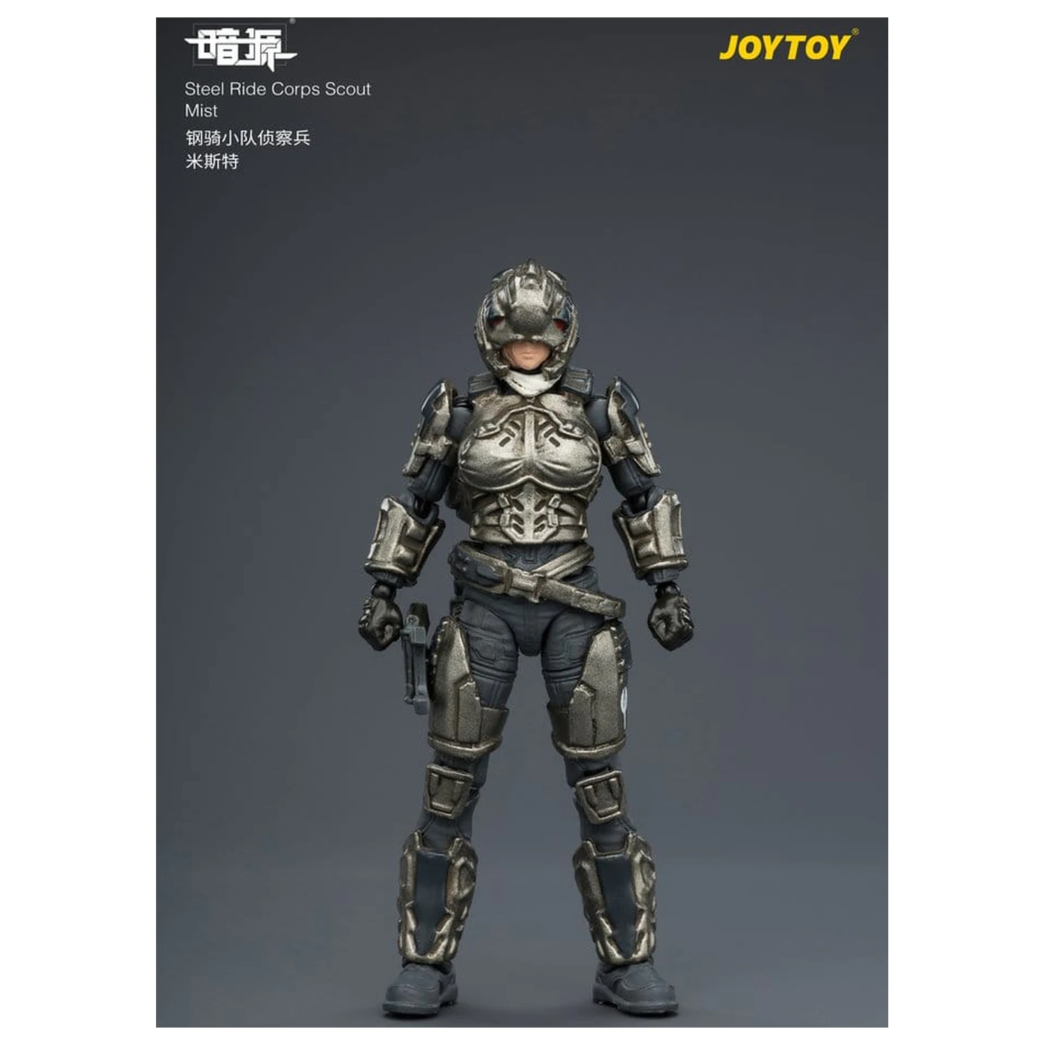 Dark Source Steel Ride Corps Action Figure Scout Mist 8 cm product photo