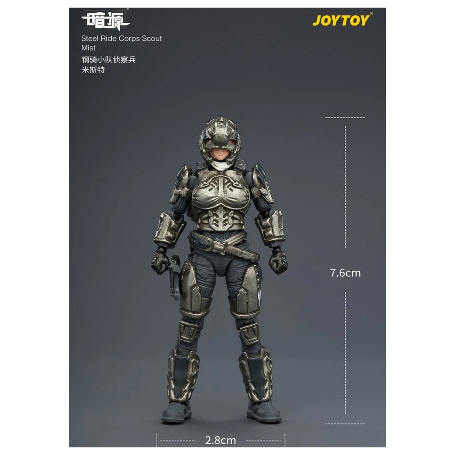 Dark Source Steel Ride Corps Action Figure Scout Mist 8 cm product photo