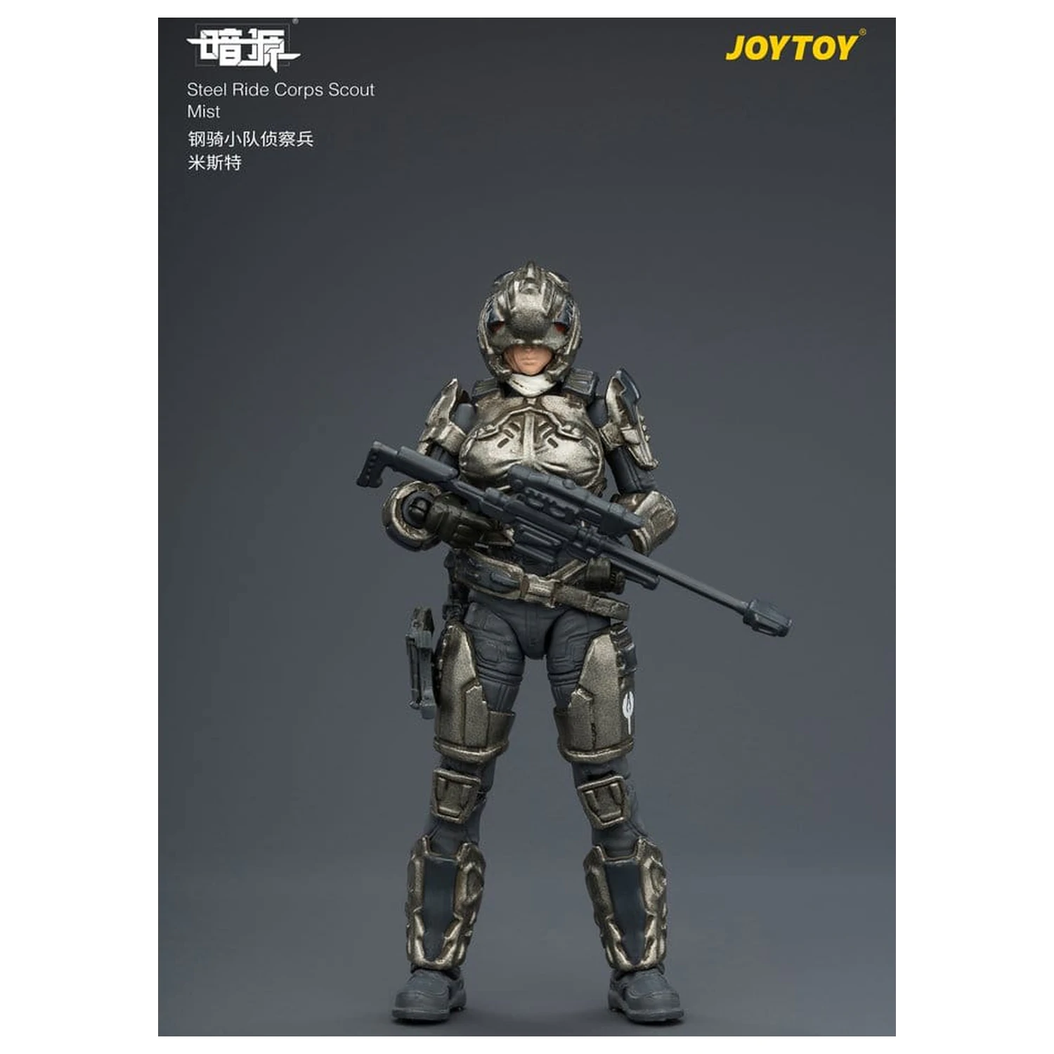 Dark Source Steel Ride Corps Action Figure Scout Mist 8 cm product photo