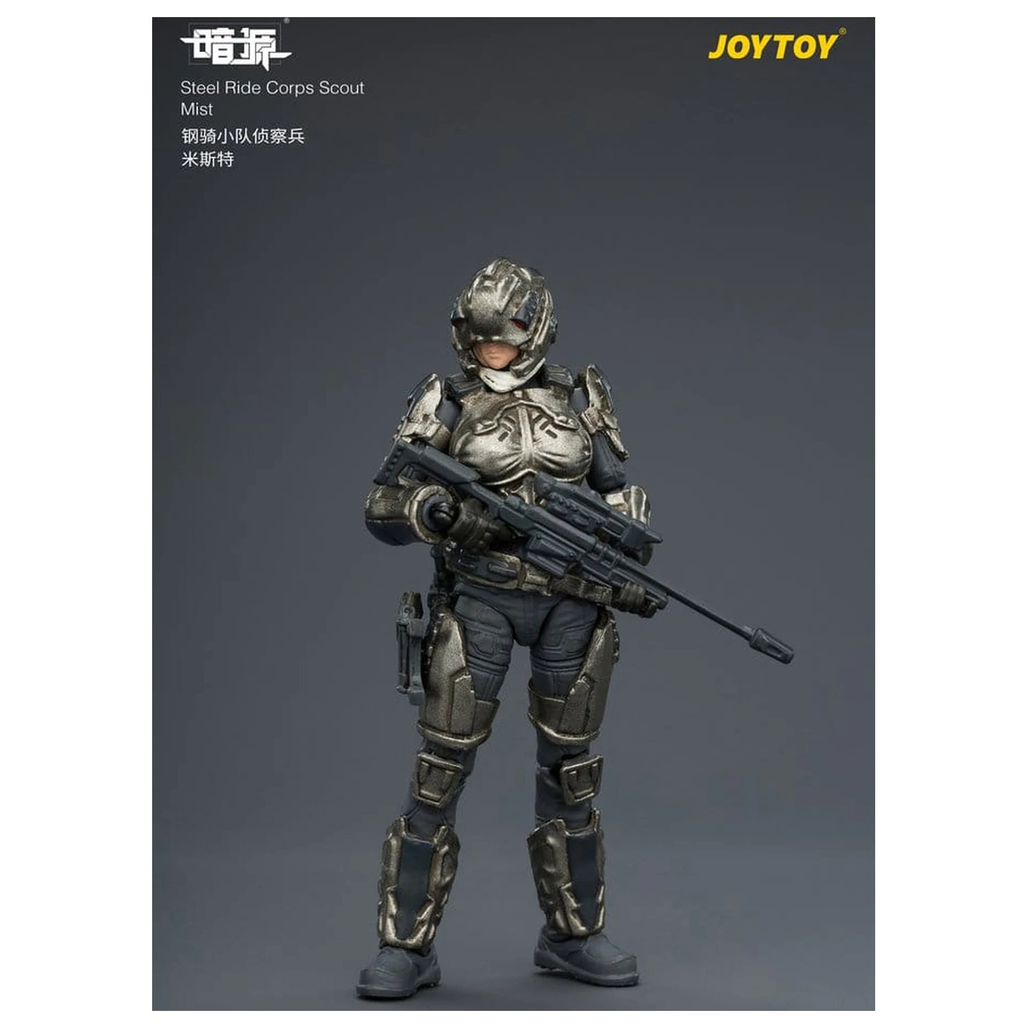 Dark Source Steel Ride Corps Action Figure Scout Mist 8 cm product photo