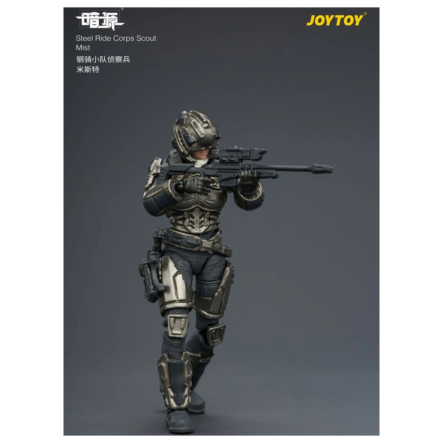 Dark Source Steel Ride Corps Action Figure Scout Mist 8 cm product photo