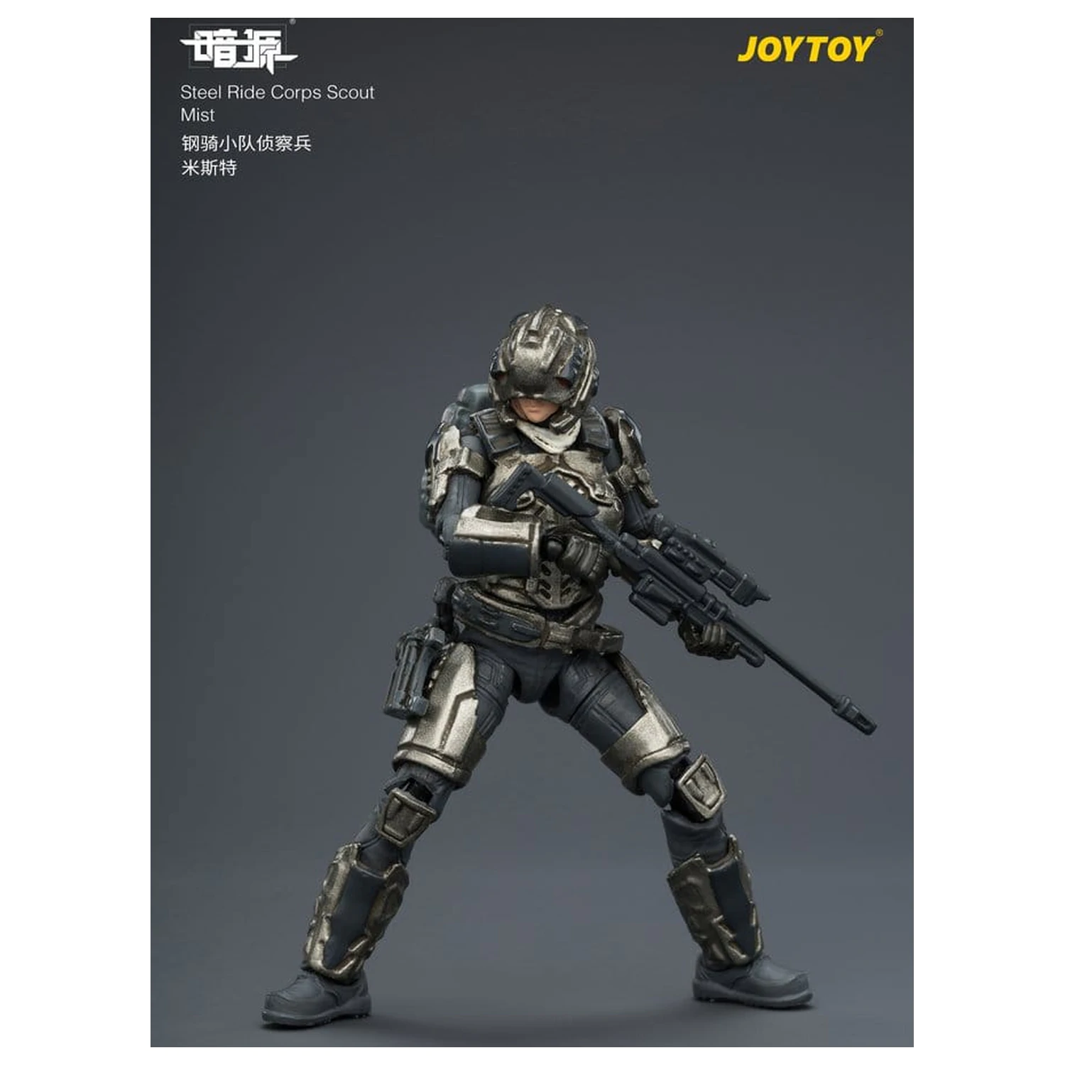 Dark Source Steel Ride Corps Action Figure Scout Mist 8 cm product photo