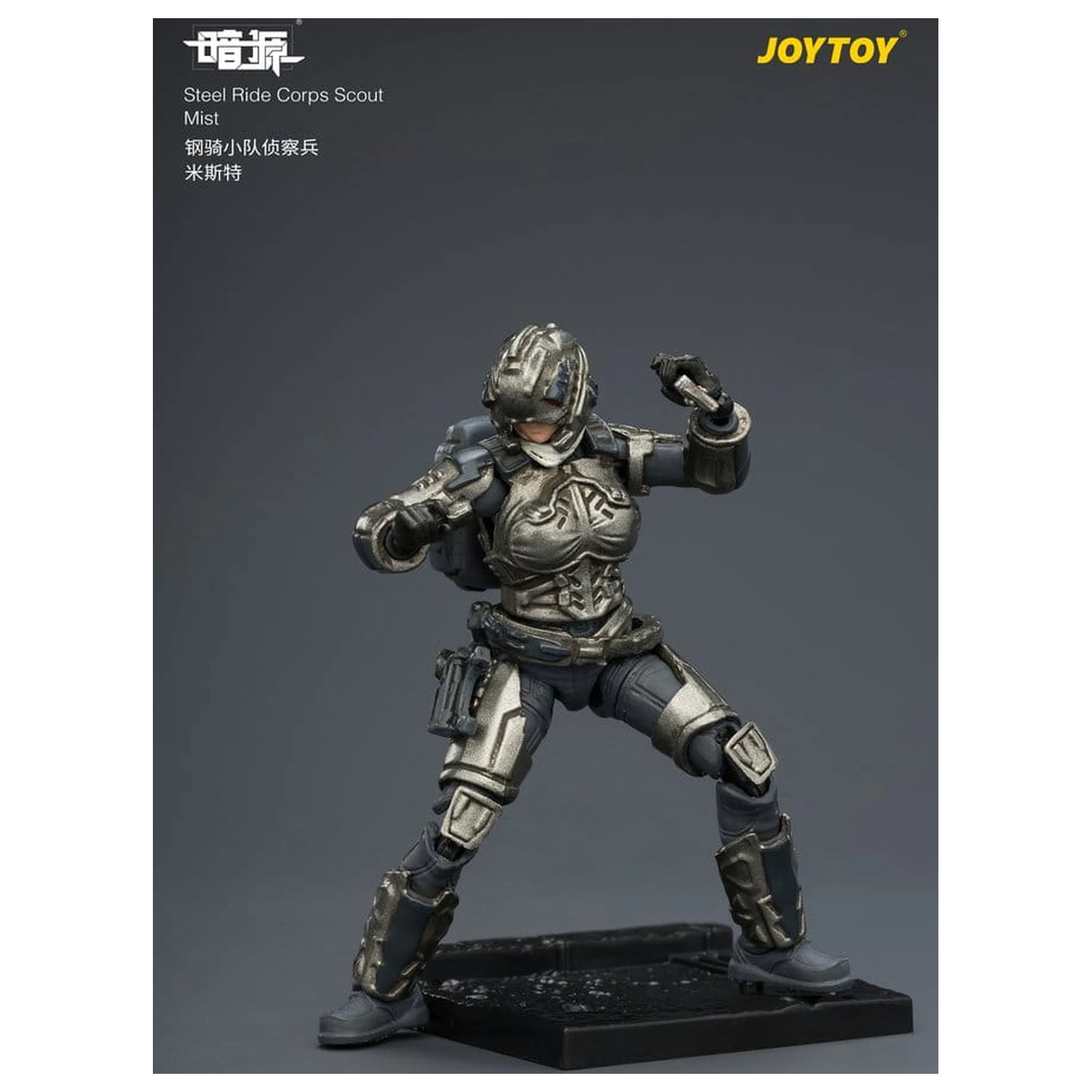 Dark Source Steel Ride Corps Action Figure Scout Mist 8 cm product photo