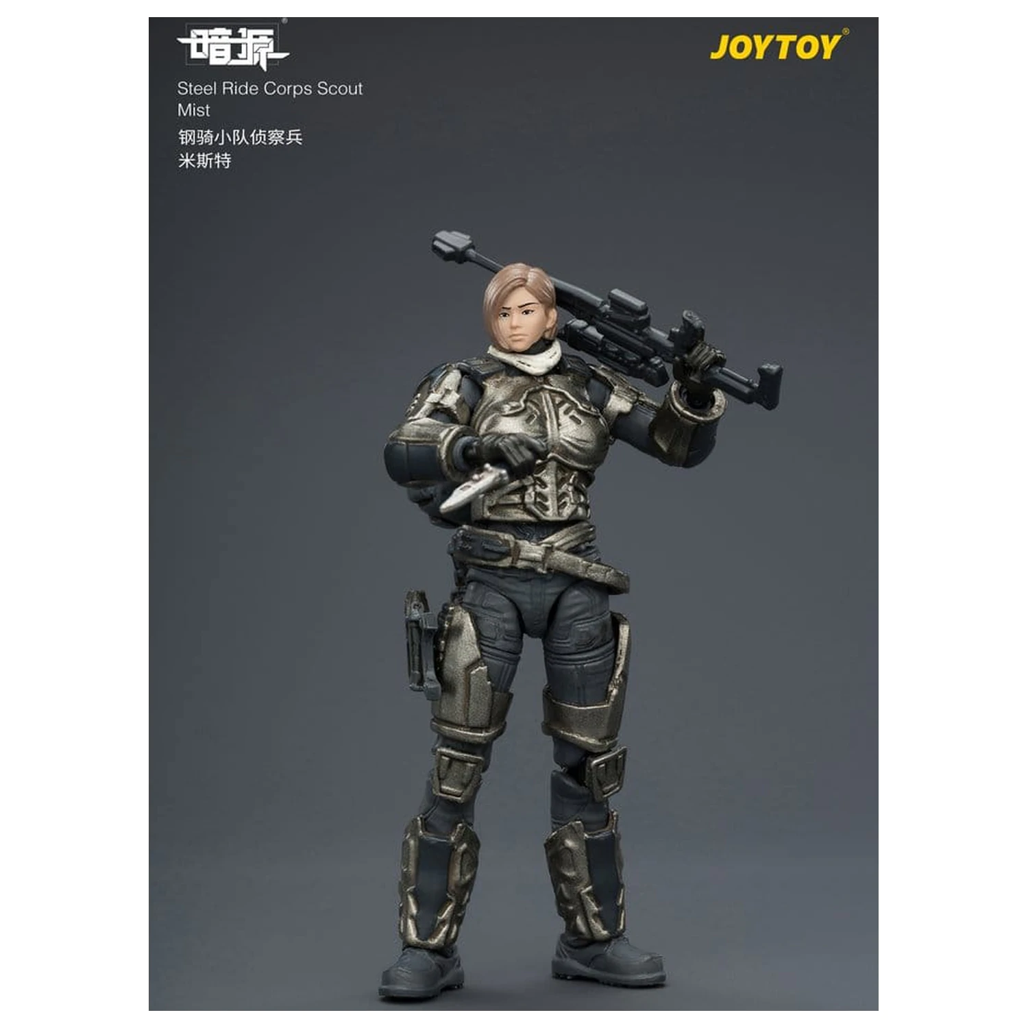 Dark Source Steel Ride Corps Action Figure Scout Mist 8 cm product photo