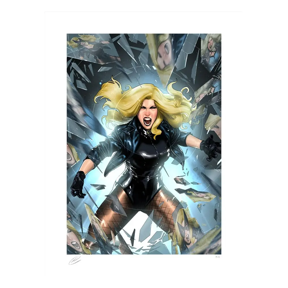 DC Comics Art Print Black Canary 46 x 61 cm - unframed product photo