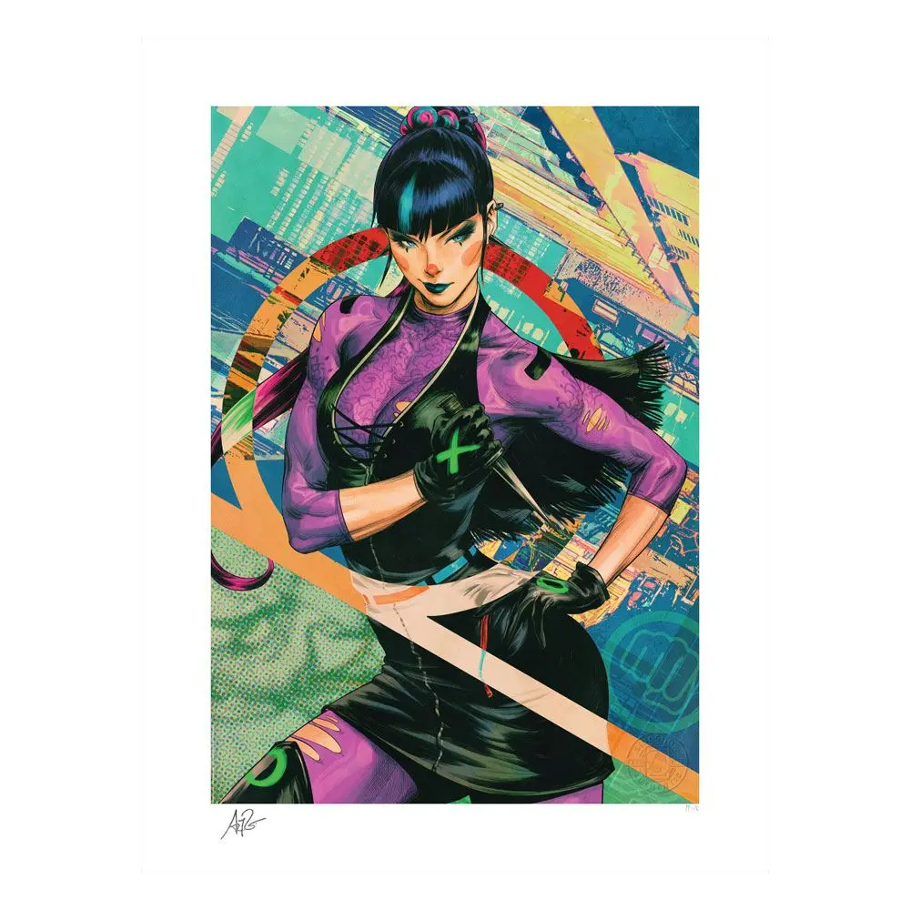 DC Comics Art Print Punchline 46 x 61 cm - unframed product photo