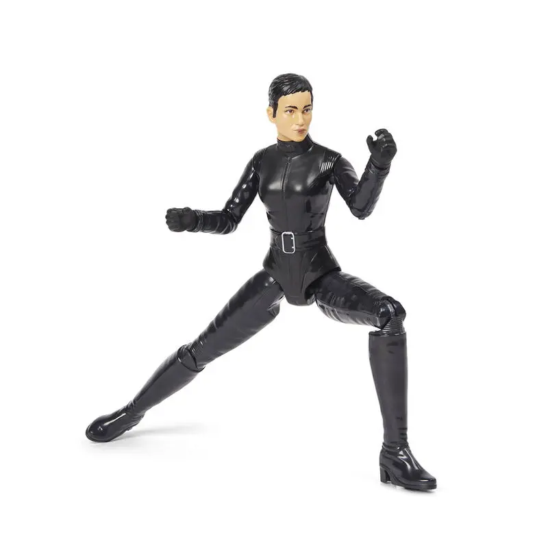 DC Comics Batman Catwoman figure 30cm product photo