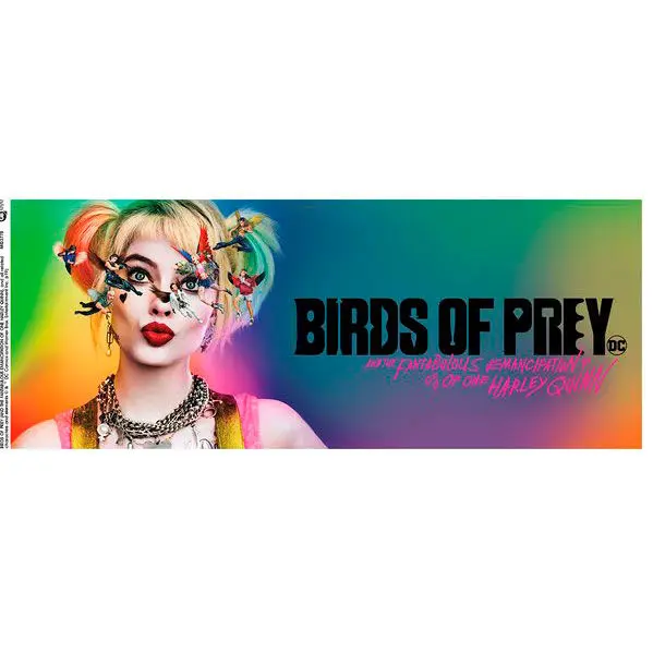 DC Comics Birds of Prey Key Art mug product photo